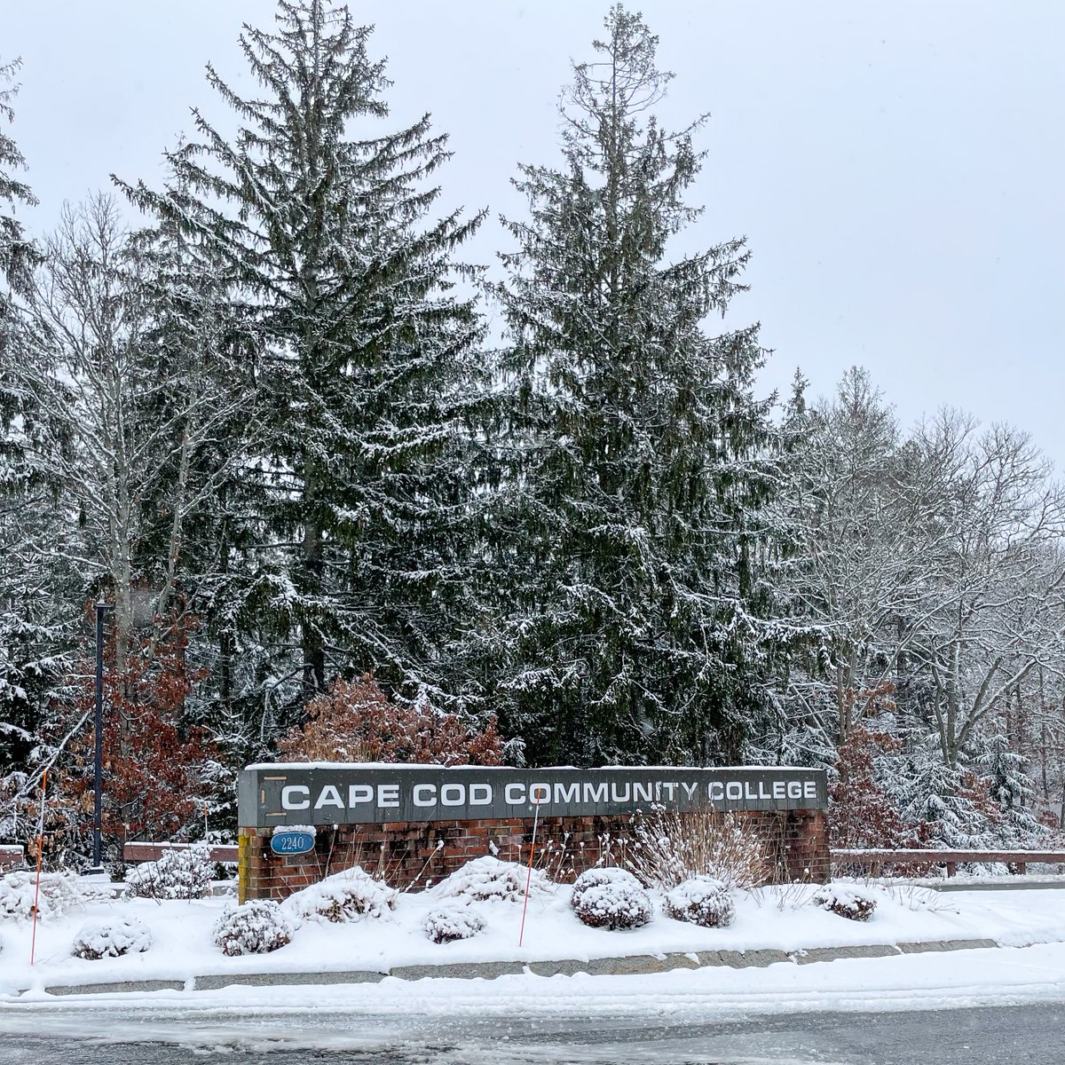CapeCodComCol's tweet image. Snow place like 4Cs