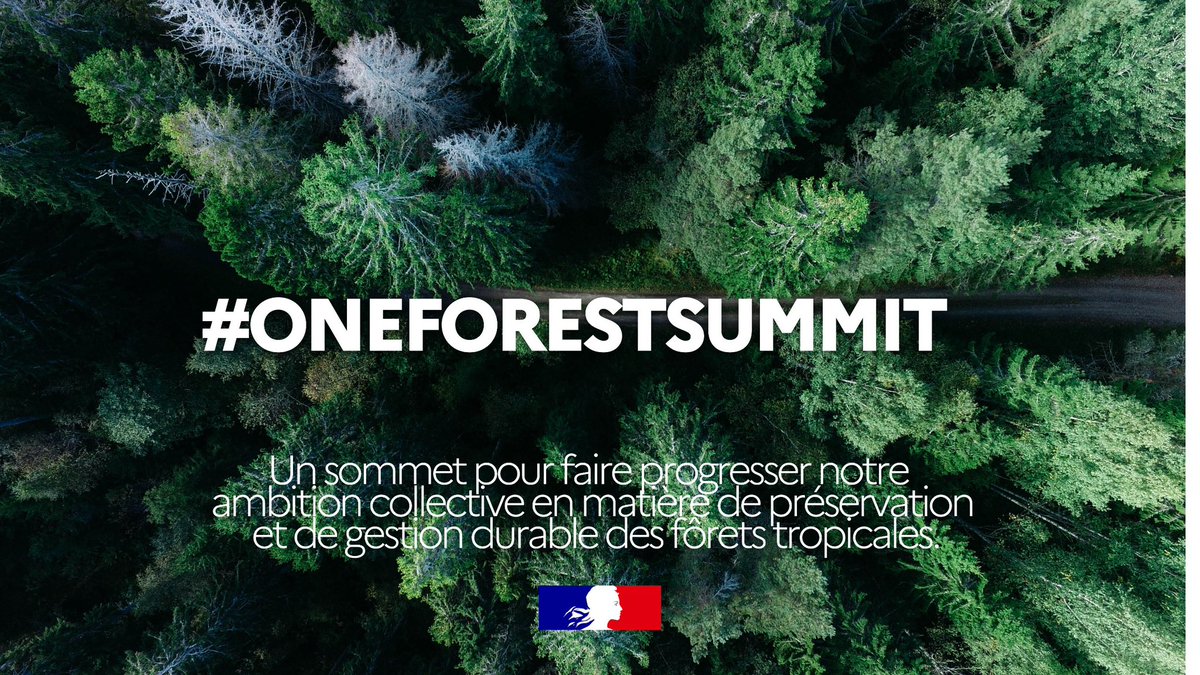 ChristopheBechu's tweet photo. Nous devons protéger les poumons verts de notre planète. 

Ce soir, je me rends avec @EmmanuelMacron au premier #OneForestSummit organisé à Libreville au Gabon. https://t.co/qACbSV6Rll