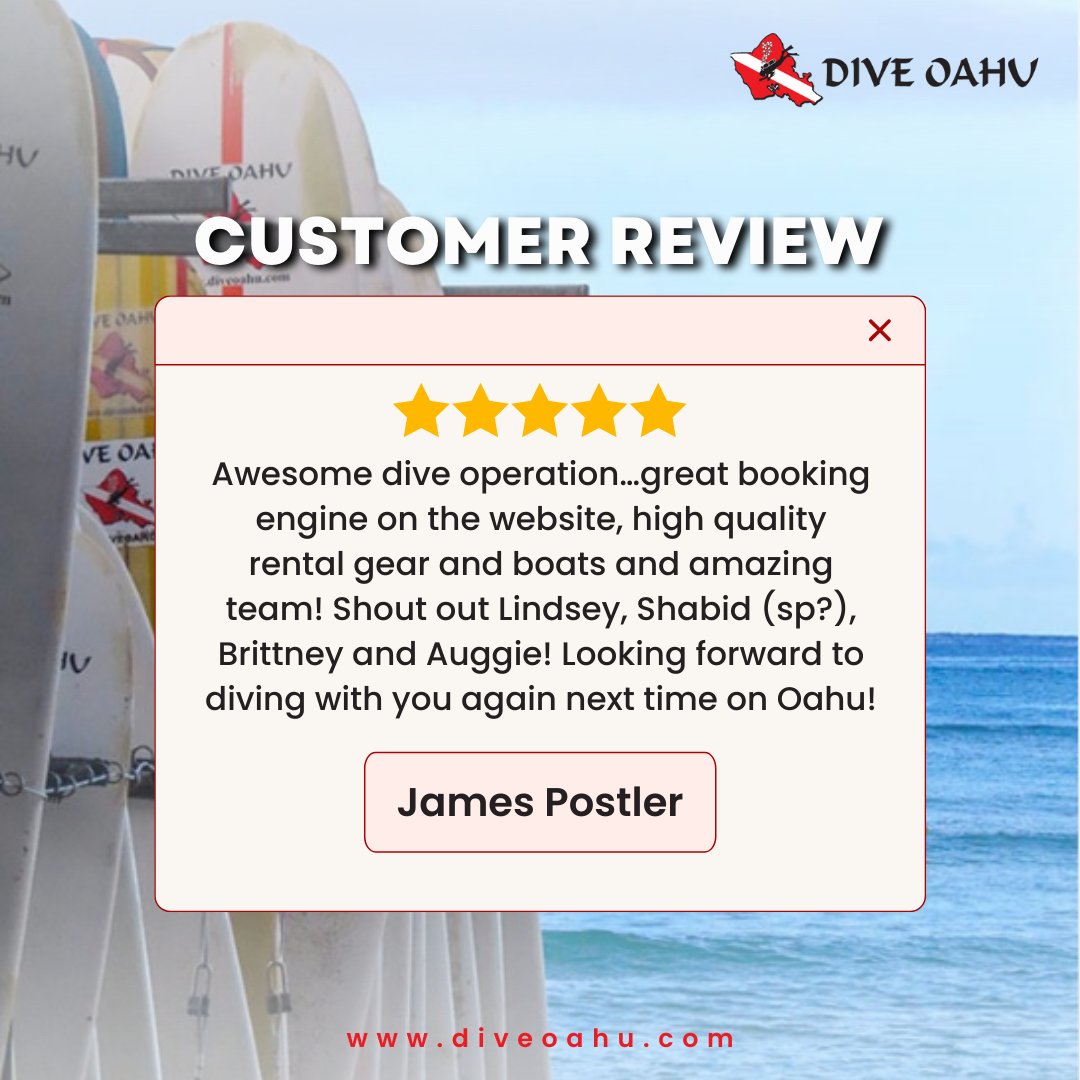 diveoahu's tweet image. Don&apos;t just take our word for it... see what others are saying about our service! Reviews help us grow and expand - so if you have feedback for us, let us know! 👂 #feedbackiskey #servicereviews