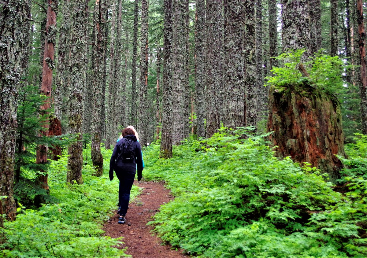 Happy Trails Tuesday!  #getoutside #PNW #ColumbiaRiverGorge #LarchMt