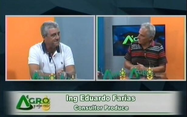 Agro y algo más tweet media