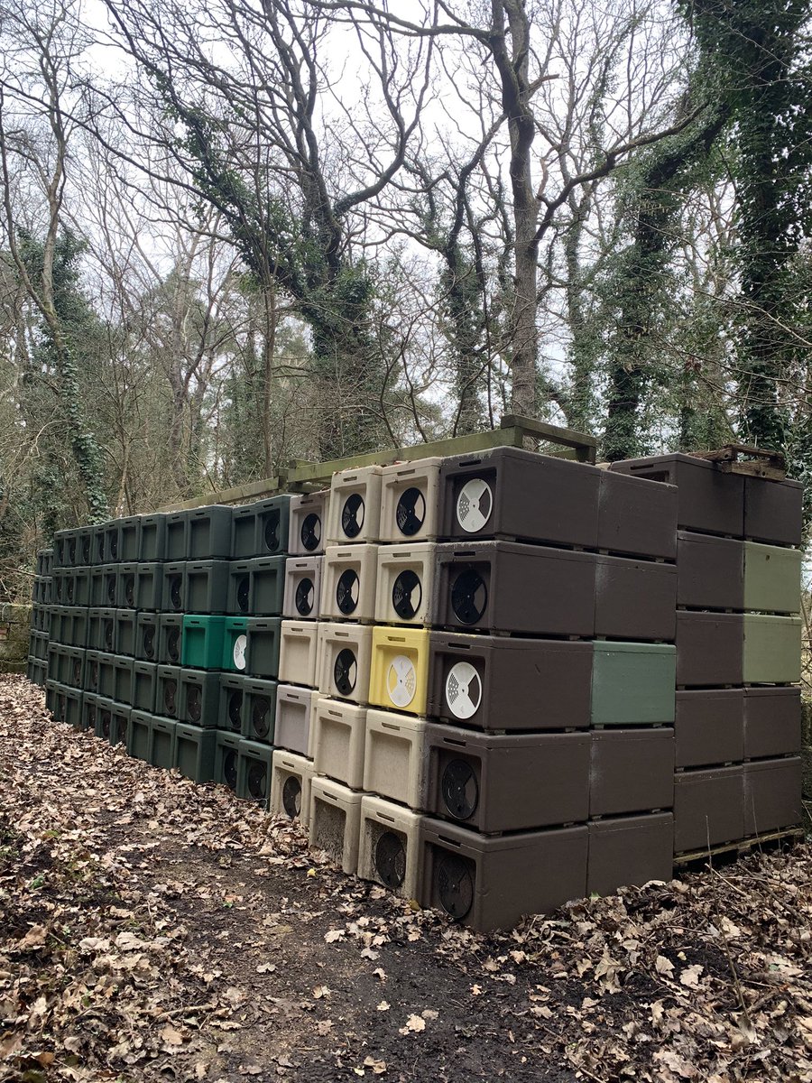 Paynes Bee Farm Ltd tweet media