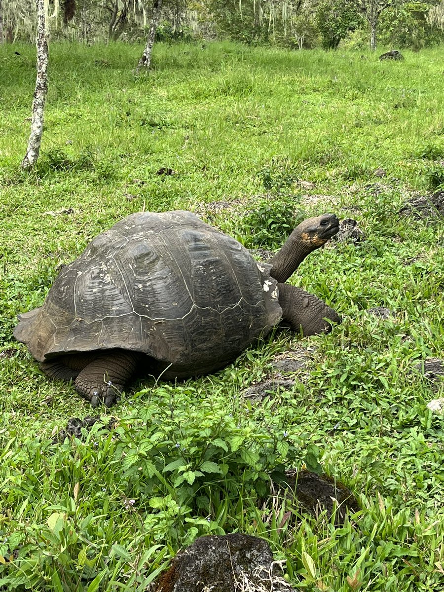 MikeMcCarthyUWS's tweet photo. Just back from our trip to Quito and Galapagos.  A once in a lifetime journey.  Thank you to Lindblad Expeditions and the entire crew of Islander II for making the trip unforgettable!  @LindbladExp https://t.co/vjSvdxs9PU