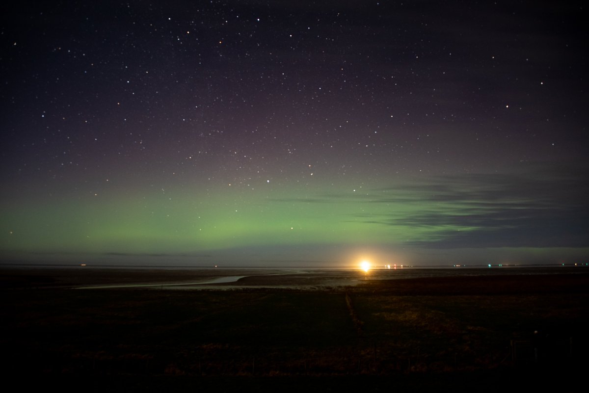 Anke🧦 tweet media