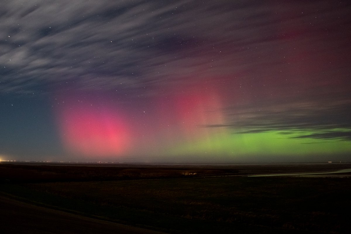 Anke🧦 tweet media