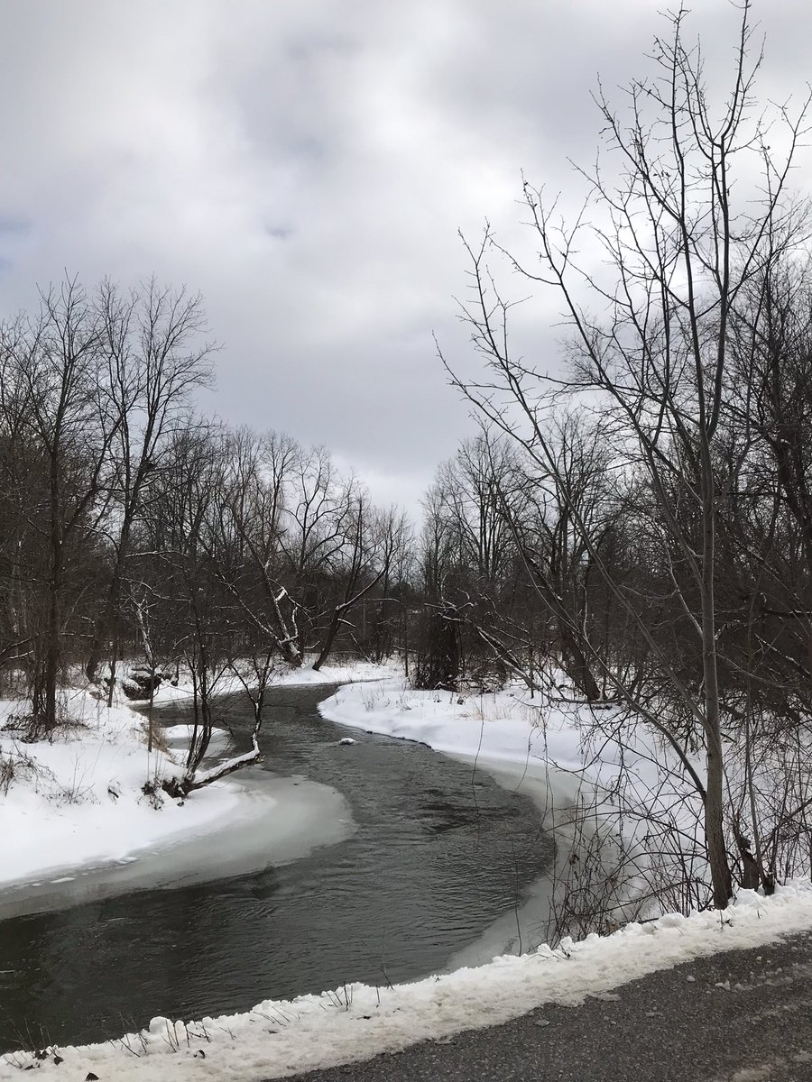 JpConsulting4u's tweet image. It’s been a frustrating day thus far with essentially nothing going as planned

Saw some advice from the writing community to get out and take a few pictures; here is one 

#InsecureWriter 
#amwritingfiction 
#WritingCommunity