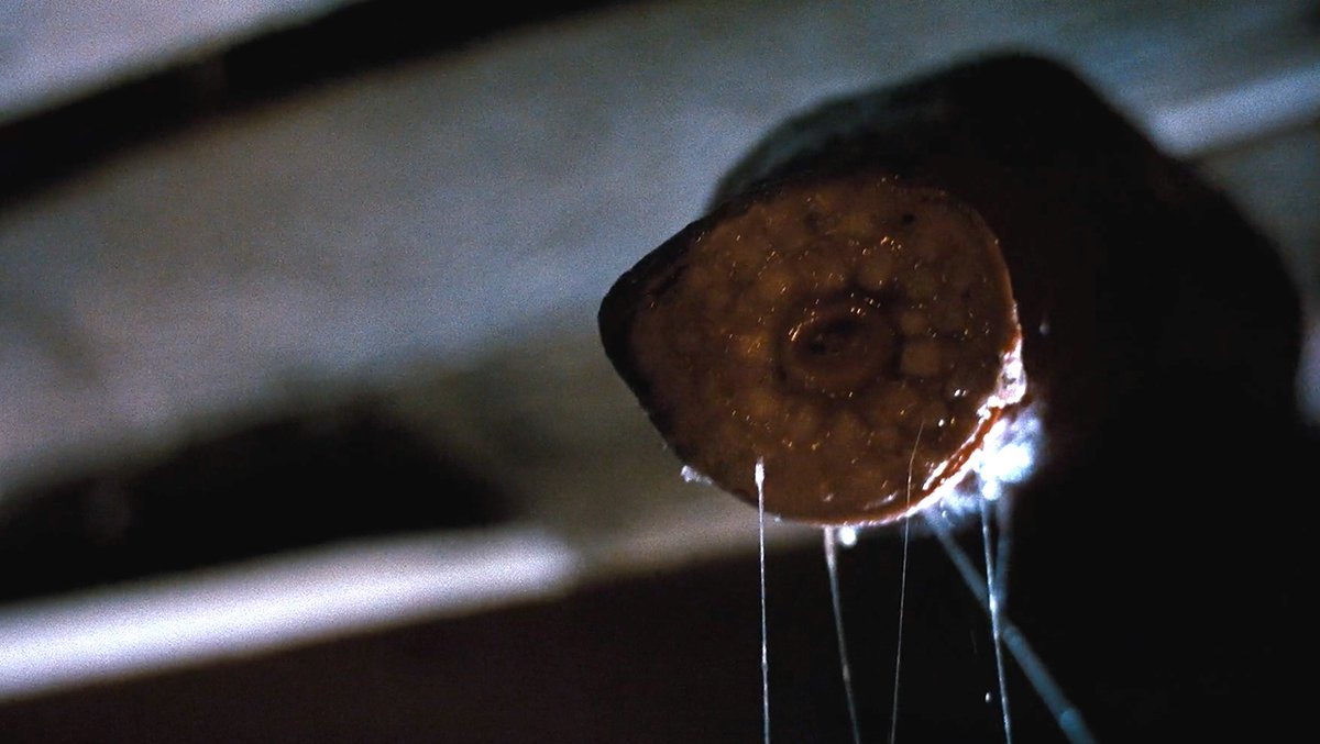 I review MIND LEECH (2023)
“A giant leech parasitizing humans wreaks havoc in a small town.”
terror.ca/movie/tt239864…
#MovieReview #HorrorMovie
<a href="/Mind_Leech/">MindLeech</a> <a href="/bahflimshaw/">Paul Krysinski</a>