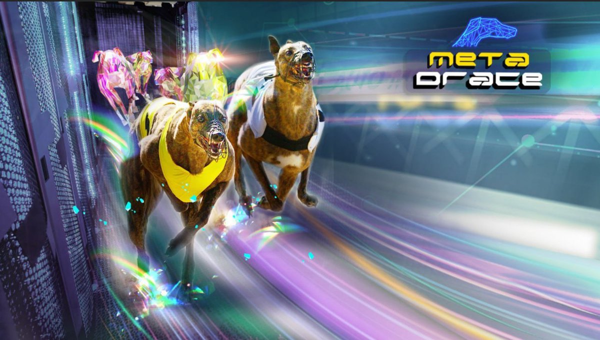 @metadrace  #Arbitrum

 🥇 MetaDrace is a blockchain based #NFT gift for speed sports enthusiasts, dog lovers & the E-Sport! Solid team, dev KYCd. Game is live! 🫂. Real MC is around 120k

dexscreener.com/arbitrum/0x30a…

t.me/MetaDrace

#Defi #Gems #Game #P2E