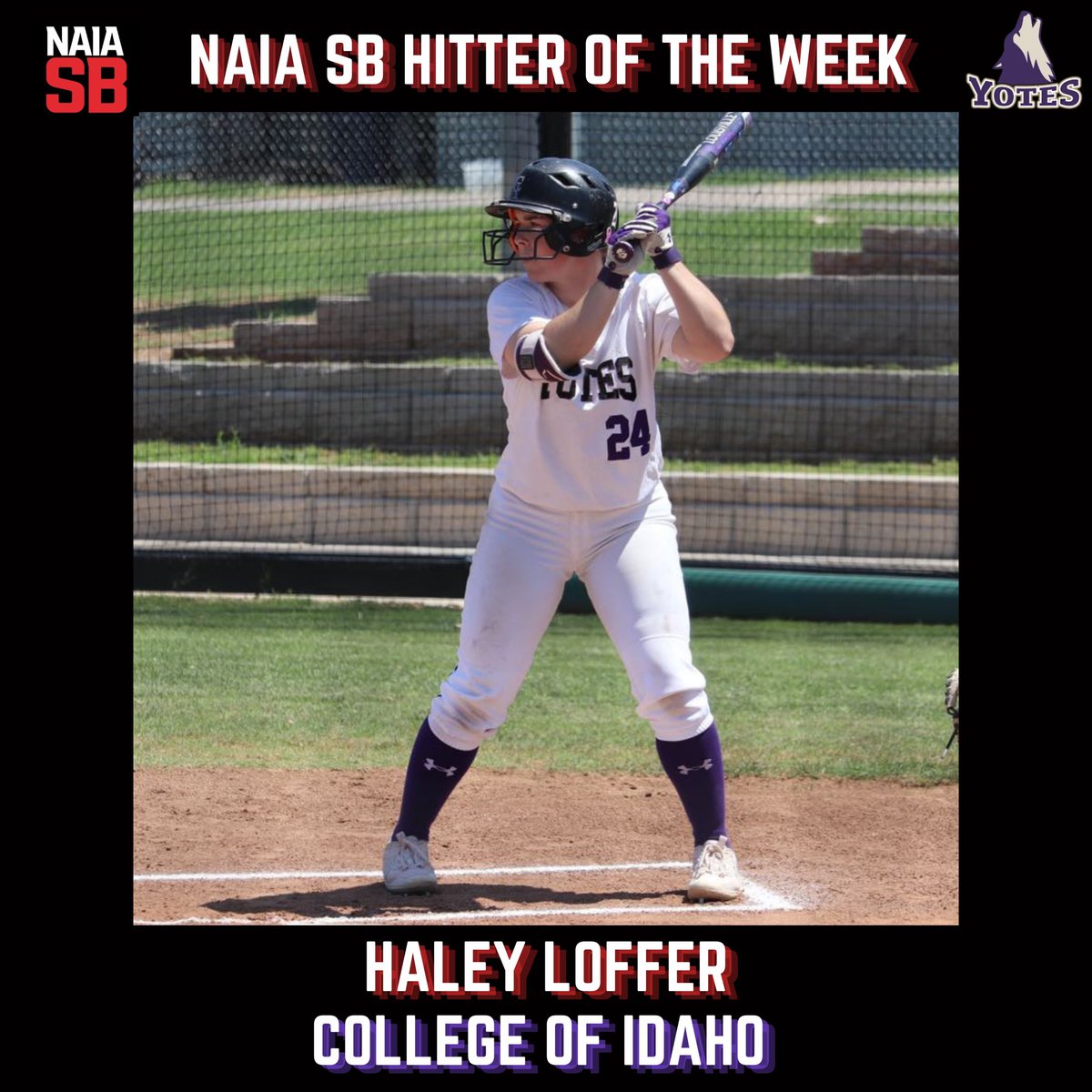 NAIASB_'s tweet photo. Loffer batted .454 with 4 homeruns, 8 rbis, and broke the homerun record for the Yotes! Congrats Haley! https://t.co/WY21VEpwJR