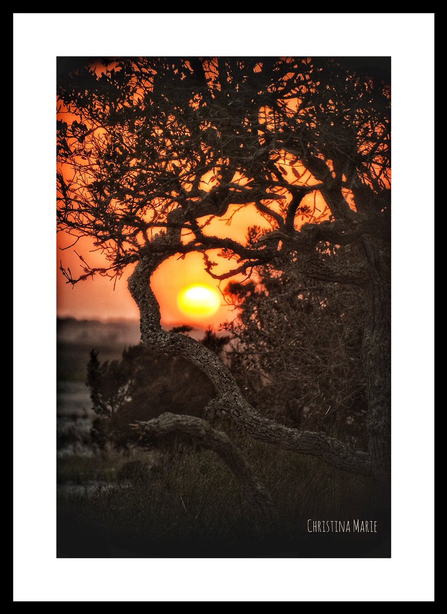 Sunset on #FollyBeach #charlestonphotographer #fineartphotographer #nikond600 #sunsetphotography #photooftheday