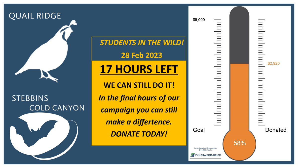 We had an 8-point jump yesterday to almost 60% of our goal. In the final hours your donation can still make a difference. Please share widely if you have already donated or donate today if you haven't. Every little bit helps!
crowdfund.ucdavis.edu/project/35549