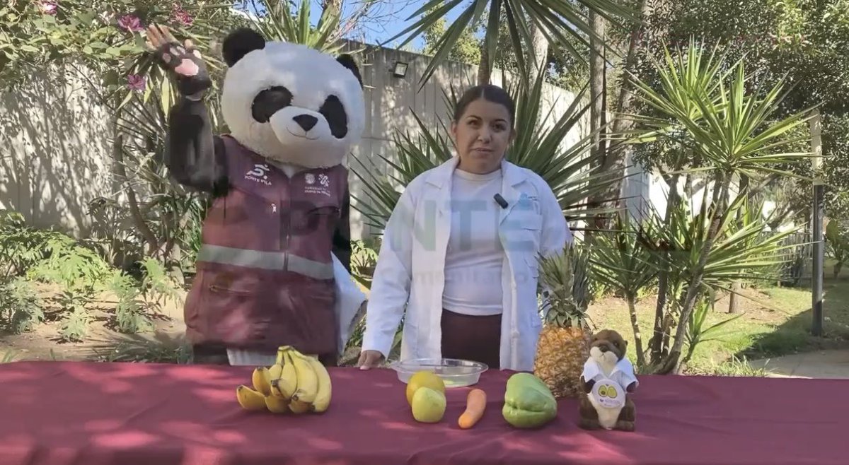 Ponte_Pila_'s tweet photo. 🔴 Sigue la transmisión #EnVivo de nuestras rutinas de activación física para toda la familia con nuestros promotores deportivos, así como la cápsula nutricional. #PontePila #SaludEnTuVida #DeporteComunitario 

https://t.co/ynrBjq9XOj https://t.co/c6lXWxFKfG