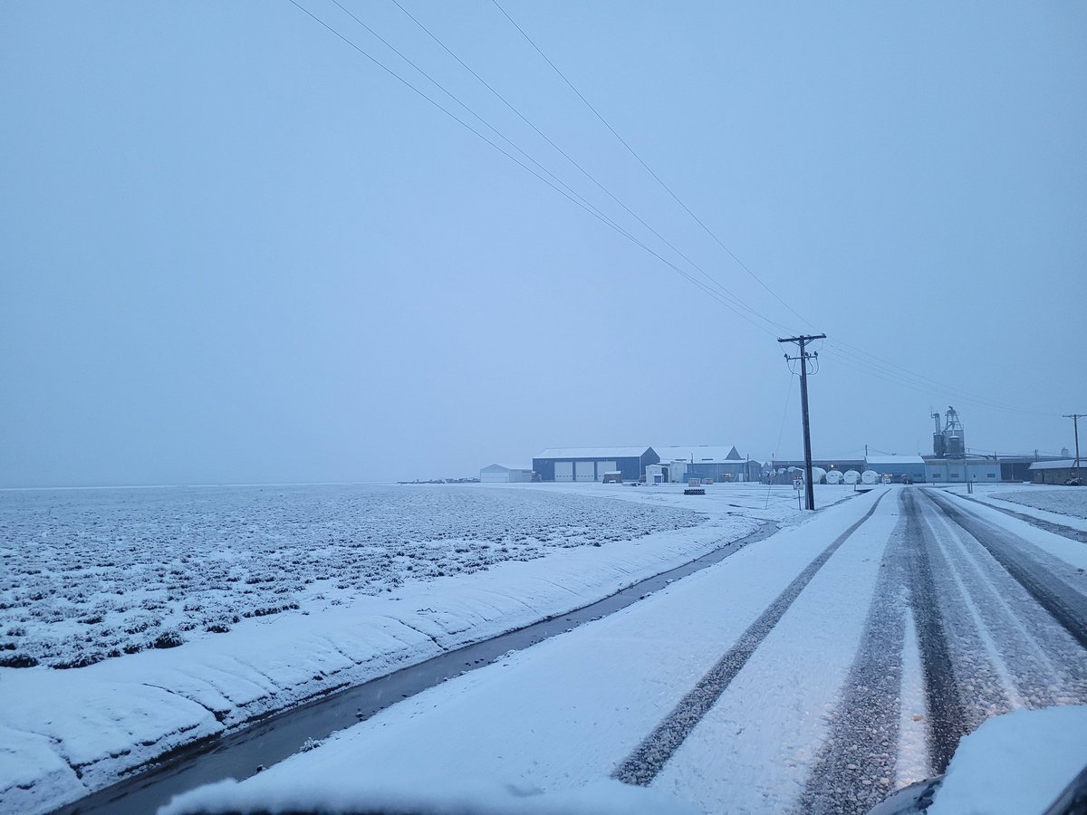 Wesleigh Ogle KATU on Twitter "RT sjrugby WesleighOgle KATUNews