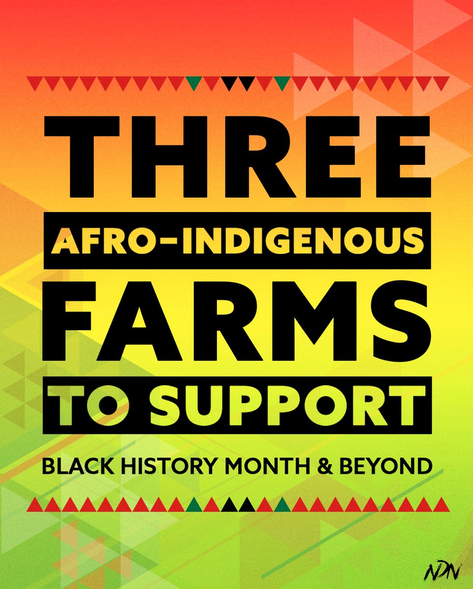 Join us in supporting and uplifting three local Afro-Indigenous-owned farms all across NDN Country

#BHM #BlackFarmers #AfroIndigenousFarmers #BHM23