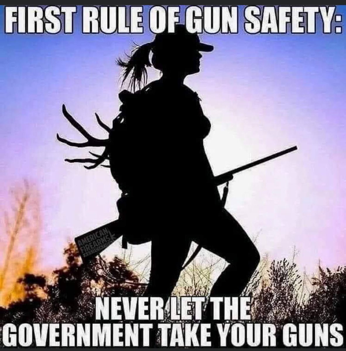 Ever wonder why? Ask yourself this question when you lay down tonight. What is it about the left's agenda that requires you disarmed? Why do they want your AR-15? #SecondAmendment #2A #AR15