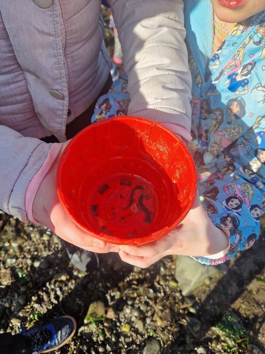 ACE_Girvan's tweet photo. An ACE freezing day doing bushcraft &amp; other activities on the Teacher Strike Day #ACEdays #outdoors  
❄️🌊🔥🦀 https://t.co/AxJhBeowUO