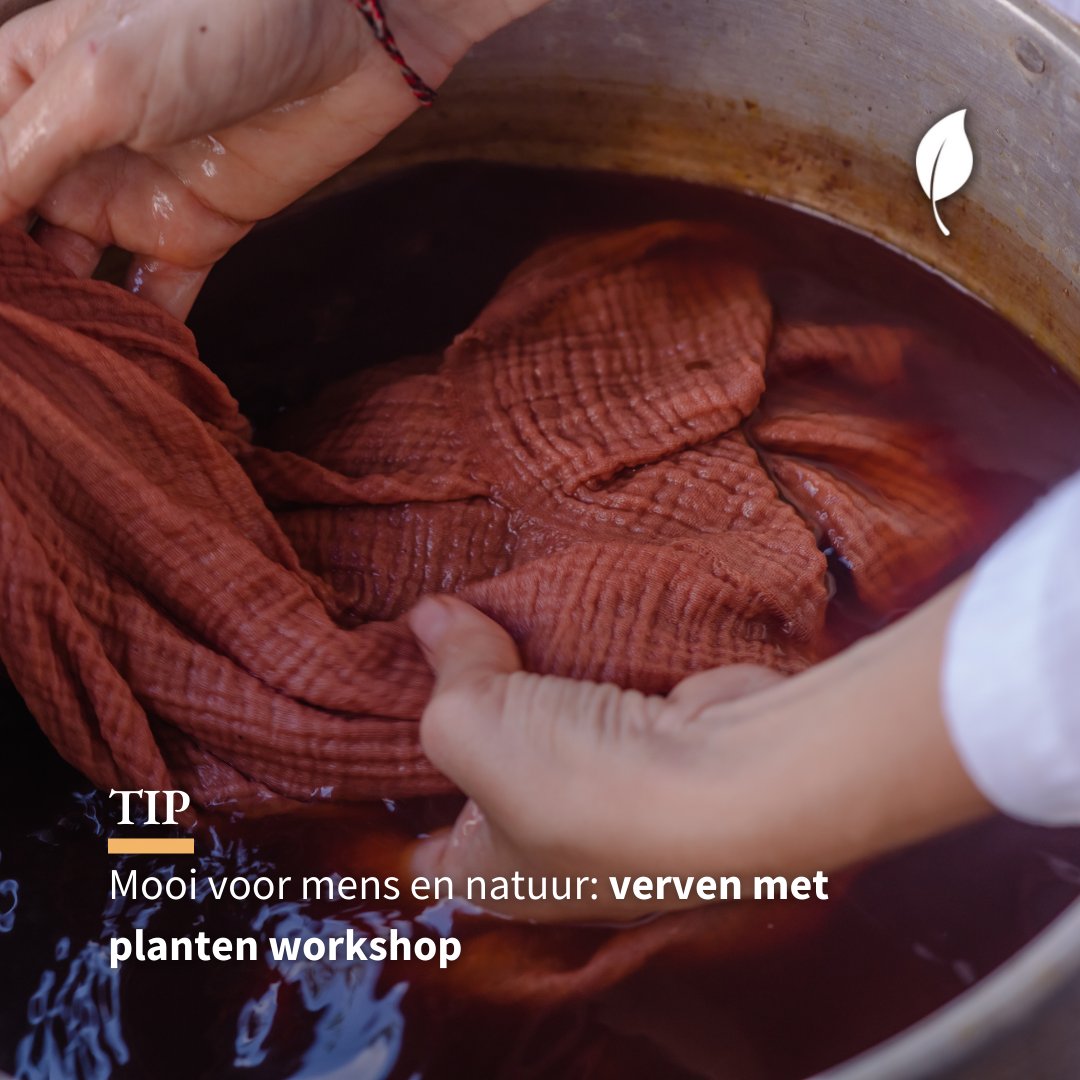 🗓️ Zaterdag 4 maart 2023, van 10.00 - 16.00
Inc. vega en bio lunch, plantaardige verf, bio materialen, verfrecepten als naslagwerk voor thuis

Meer info: livegreenmagazine.nl/live-green-gro…