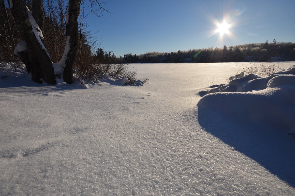Roadstories's tweet photo. Sliding in a little late... #Top4Frozen #Top4Theme
Hi 5 @LiveaMemory @gfreetraveler @obligatraveler
@intheolivegrov1 From the Great White North...
always lots of ice and snow and of course, hockey https://t.co/Q1PKx0moH4