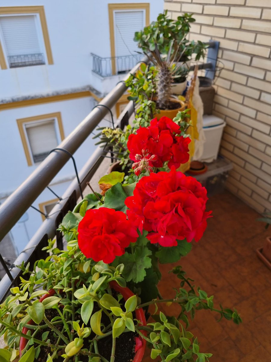 Isabel Gutierrez tweet media