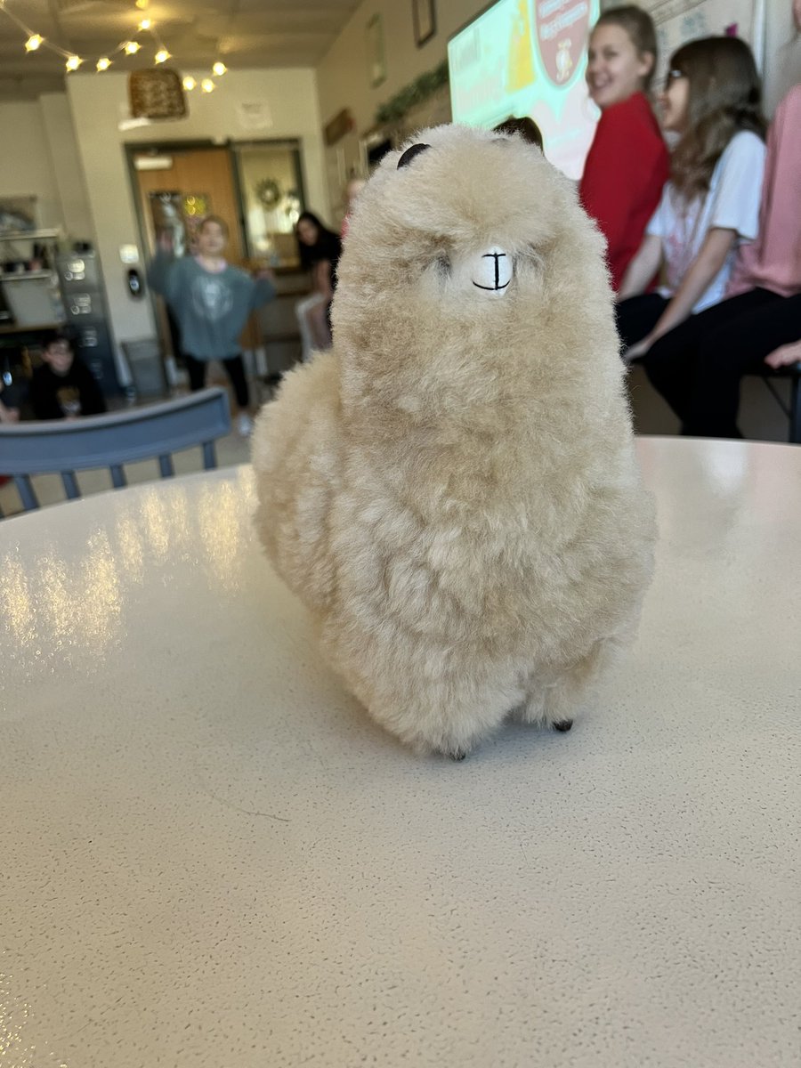 Mrs. Roth tweet media