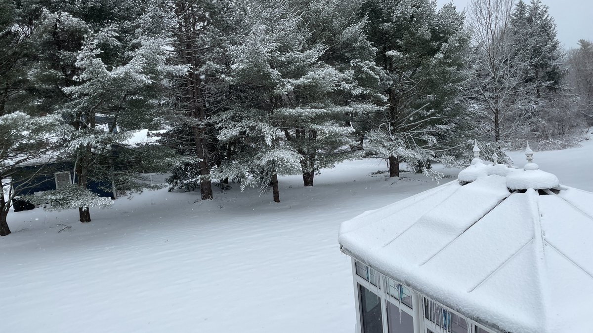 VIN_786's tweet photo. The serene beauty of the snowfall in my backyard. There's something about the gentle flakes cascading down that has such a calming effect, making me appreciate the serene beauty of winter even more โ๏ธโ๏ธ #snowfall #winterwonderland #calmingeffect https://t.co/3noVcrv9vK
