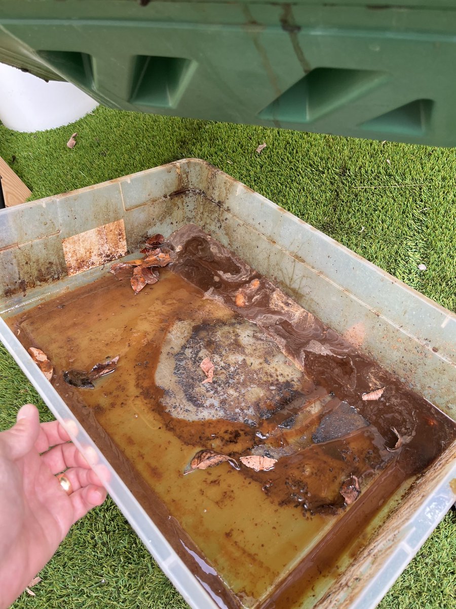 HollywoodStroz's tweet image. Flavor country 

#composttea
#compost