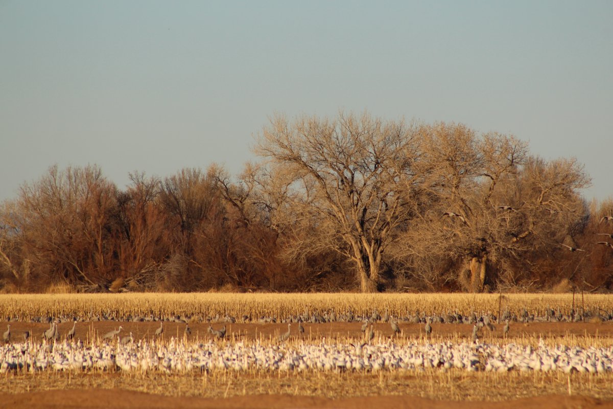 Jennifer Gonzales tweet media