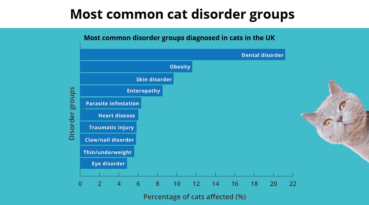 Infographic for our paper published today on common disorders in cats can be accessed here:

rvc.uk.com/cat-infographic