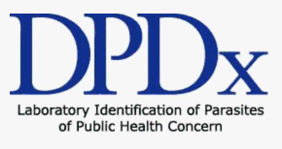 MicroClinicoVLC's tweet photo. 1. "DPDx - Identificación de Parásitos de Interés en Salud Pública" del CDC: base de datos muy completa que proporciona imágenes e información sobre parásitos y enfermedades parasitarias, incluyendo diagnóstico y tratamiento.
https://t.co/GIx7kzDW4D https://t.co/WV4ejU2tyE