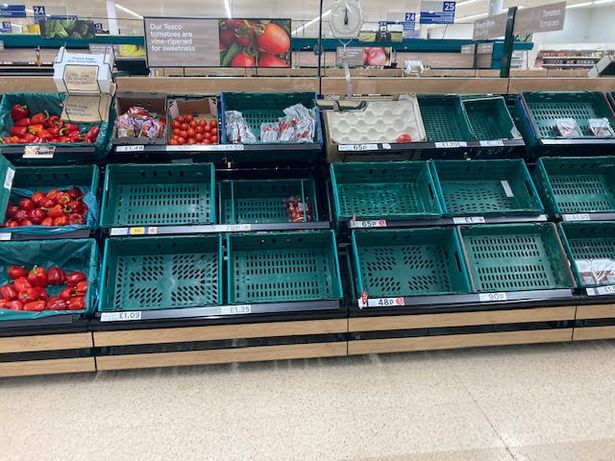 for Rishi Sunak to claim today that we are 'seeing the benefits of Brexit at a time when supermarkets are rationing food is a special kind of stupid.
#ToriesOut236 #ToriesCostLives #BrexitFoodShortages #BrexitDisaster