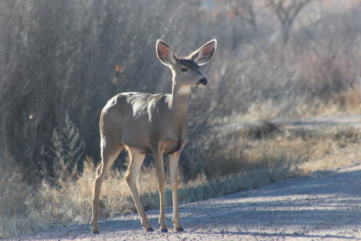 Jennifer Gonzales tweet media