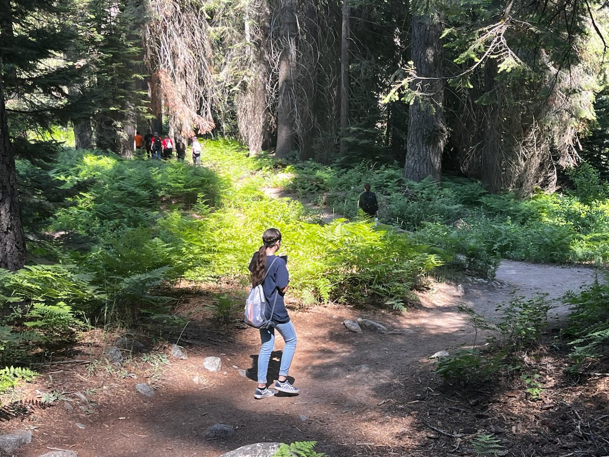 brittney_beck's tweet photo. After many years of development, the free, self-paced Learning through Citizen Science course we developed with @NatGeoEducation and many others is live! 

Read more about it and learn how to enroll here:

https://t.co/fVnhVtsu2y https://t.co/sBh1z0CIBV