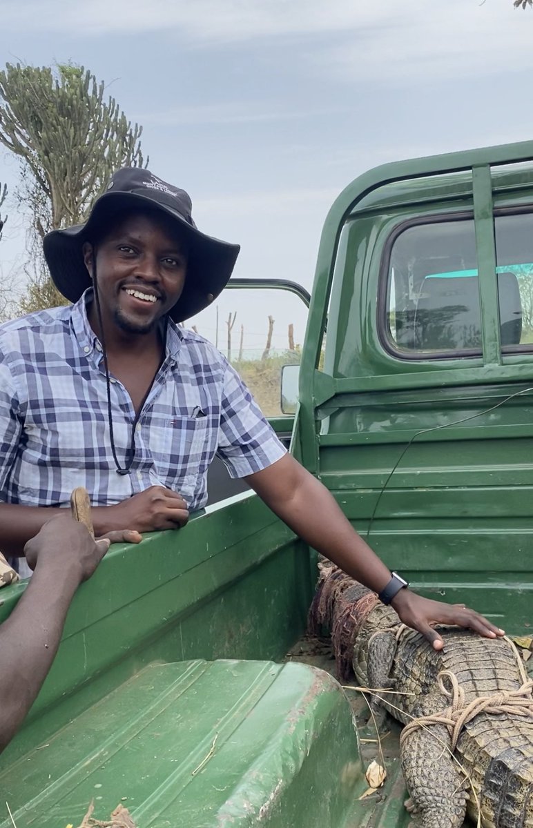 phillipsozi1's tweet photo. It’s not always rosy at the farm but there’s never a dull moment! Thanks @ugwildlife for always coming through when we call. #YouthInAgriculture https://t.co/FtHSHo4H1I
