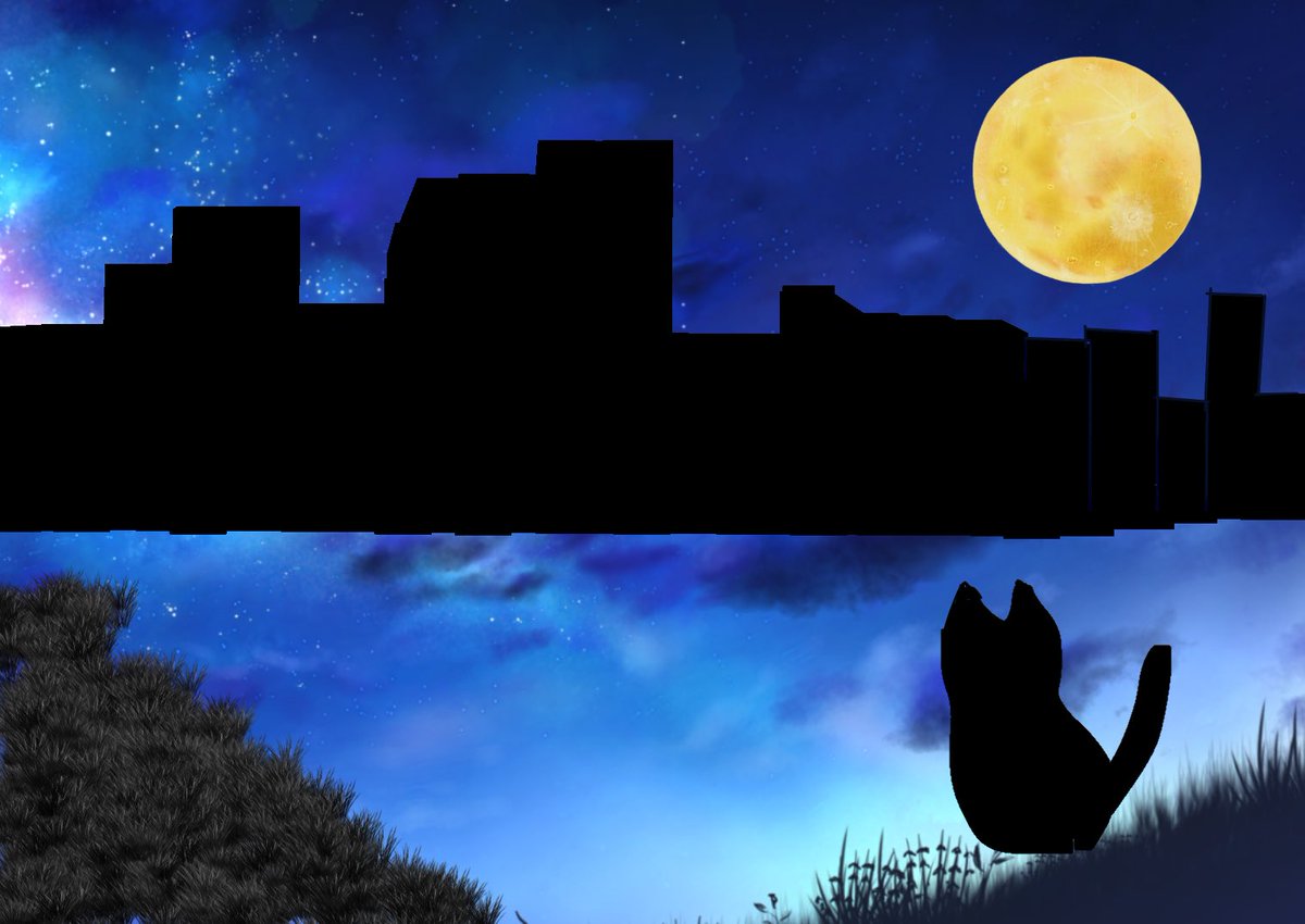 月夜に微かな灯り💓💞猫も(*´ `)(人´∀｀)．☆．。．:*・゜( ꈍᴗꈍ)ｳｯﾄﾘ