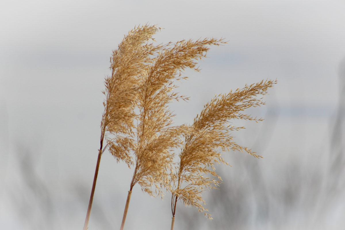 Jennifer Gonzales tweet media