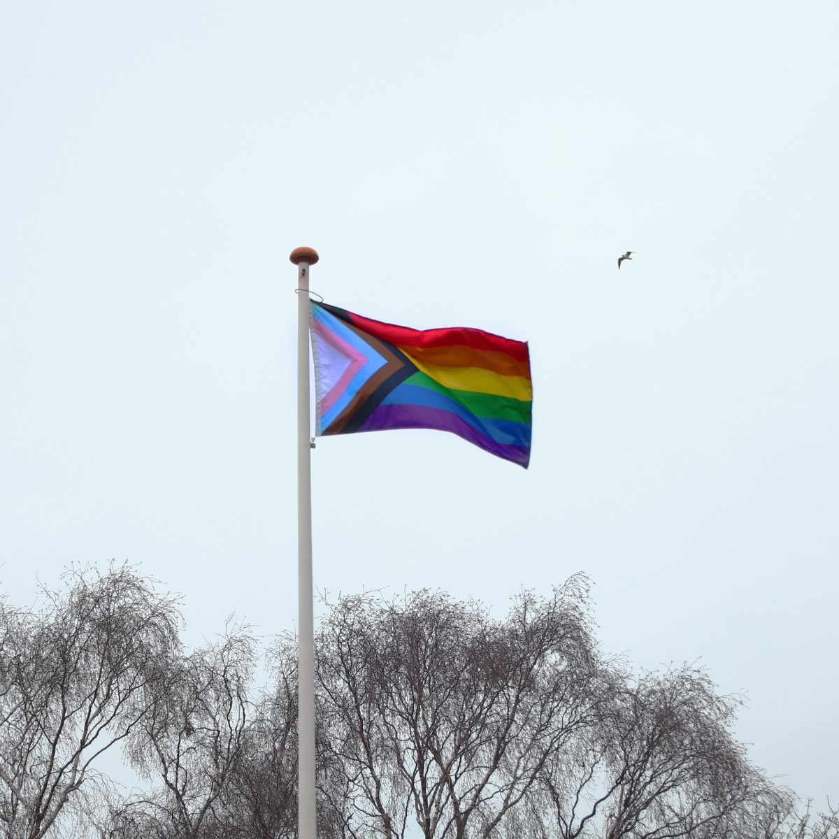 Lancaster University tweet media