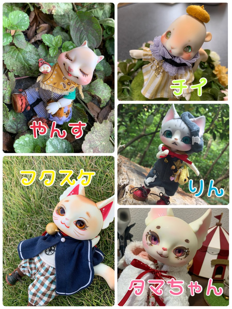 yangsu_inuko's tweet photo. うちの子一覧
むく（霧狗）教室Ａ
ぎこ（戯狐）教室眠Ａ
いっと（逸兎）教室眠Ａ
しゅり（撞狸）天草四郎
ゆめ　くるみ
あずさ　DD6番
やんす　scon
フクスケ、タマちゃん　ＤＣピカソ
りん　豆ピカソ
チイ　チリア https://t.co/fExfMpHmxc