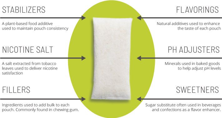 Breakdown of whats inside a snus pouch! 

#COGCMKG2023 #snus #nicopods #nicotine #nicotinepouches #tobaccofree 
#vaping #addicted #addiction #nicopods