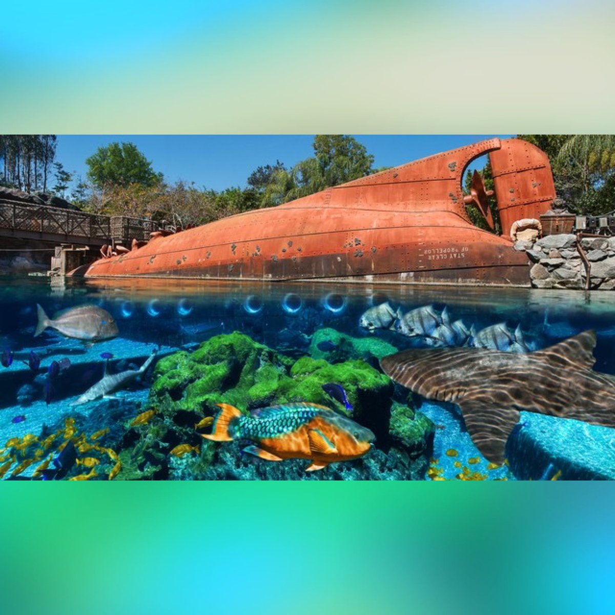 Parkeology tweet media