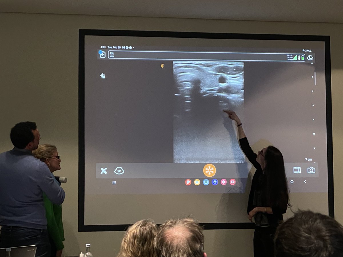 Michaela Trapl-Grundschober tweet media