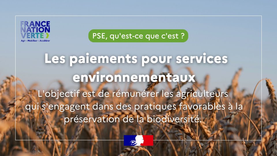 Ecologie_Gouv's tweet image. Préserver la qualité de l'eau et la biodiversité, les paiements pour services environnementaux financent les pratiques des agriculteurs qui bénéficie aux écosystèmes et à la société !

Pour en savoir plus : ecologie.gouv.fr/experimentatio…