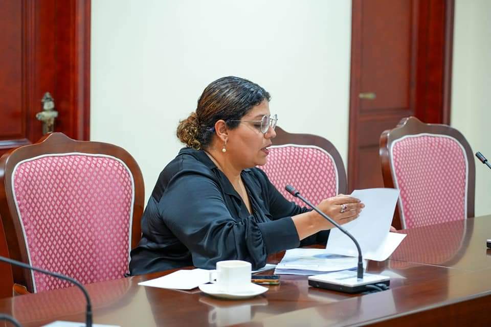 ރައްޔިތުންގެ މަޖިލީހުގެ ހިއުމަން ރައިޓްސް އެންޑް ޖެންޑަރ ކޮމިޓީއަށް ހުށަހެޅިފައިވާ މައްސަލަތައް ދިރާސާކުރުން