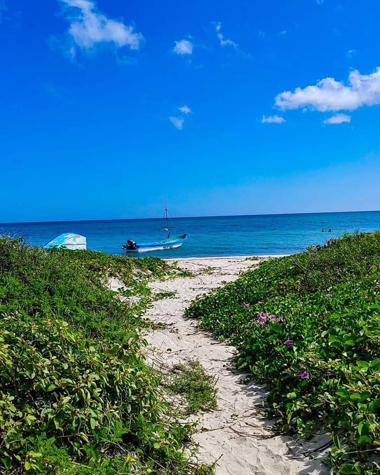 JannSN93's tweet photo. Buenos días amigos , hoy es el último día de una gran promoción y oportunidad de adquirir una propiedad. Amigos cerca de la playas yucatecas. https://t.co/GturtdUBMv