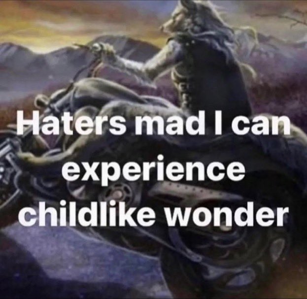 reactjpg's tweet photo. biker wolf on motorcycle haters mad I can experience childlike wonder https://t.co/dLrVE6jjjS