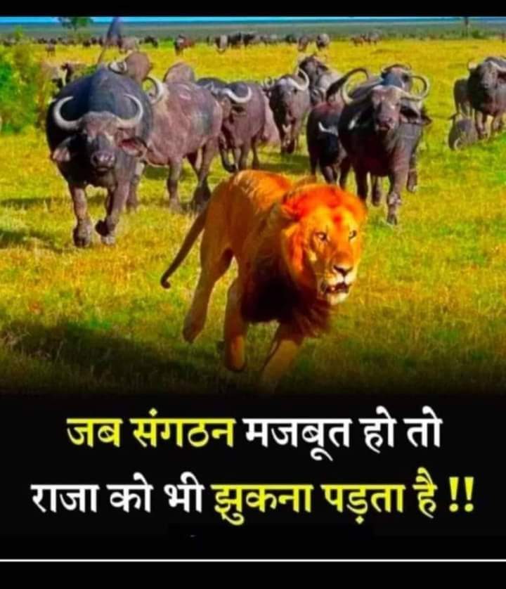 Mission 2024 ,samjhne vale samjh kr Rt@like @Ambedkar8Aman @___Sanj_ana21 @MinaksiAmbedkar @SanjayK99769770 @udayraj83704845 @MamtaGa96971074 @adv_neelu