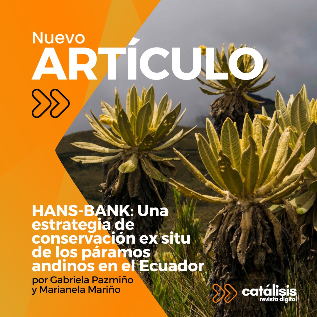 🏔️ ¿Sabías que en 30 años los ecosistemas altoandinos se perderán de manera irreversible si no se toman medidas urgentes? ⚠️

👩🏻‍🔬 En esta artículo, Gabriela Pazmiño y Marianela Mariño nos cuentan de HANS-BANK, una alternativa tecnológica para la conservación de los páramos 🗻