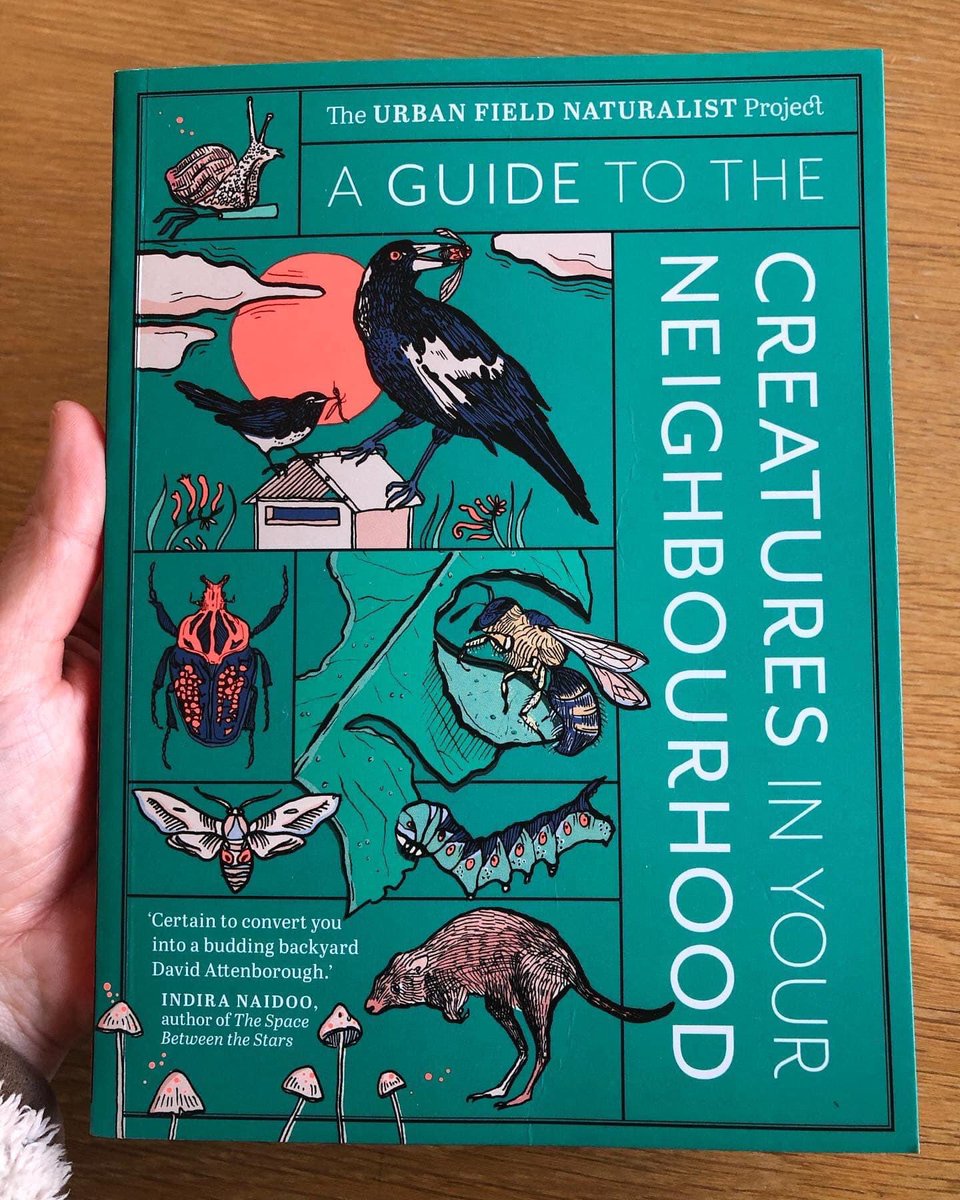 Laugh &amp; learn to love spiders - our <a href="/dieterhochuli/">Dieter Hochuli</a> joined <a href="/themonkeycage/">Infinite Monkey Cage</a> 

podcasts.apple.com/au/podcast/the…

Share your 🕷️ stories with us &amp; learn about the Creatures in Your Neighbourhood in our book - see our website for details urbanfieldnaturalist.org 

podcasts.apple.com/au/podcast/the…