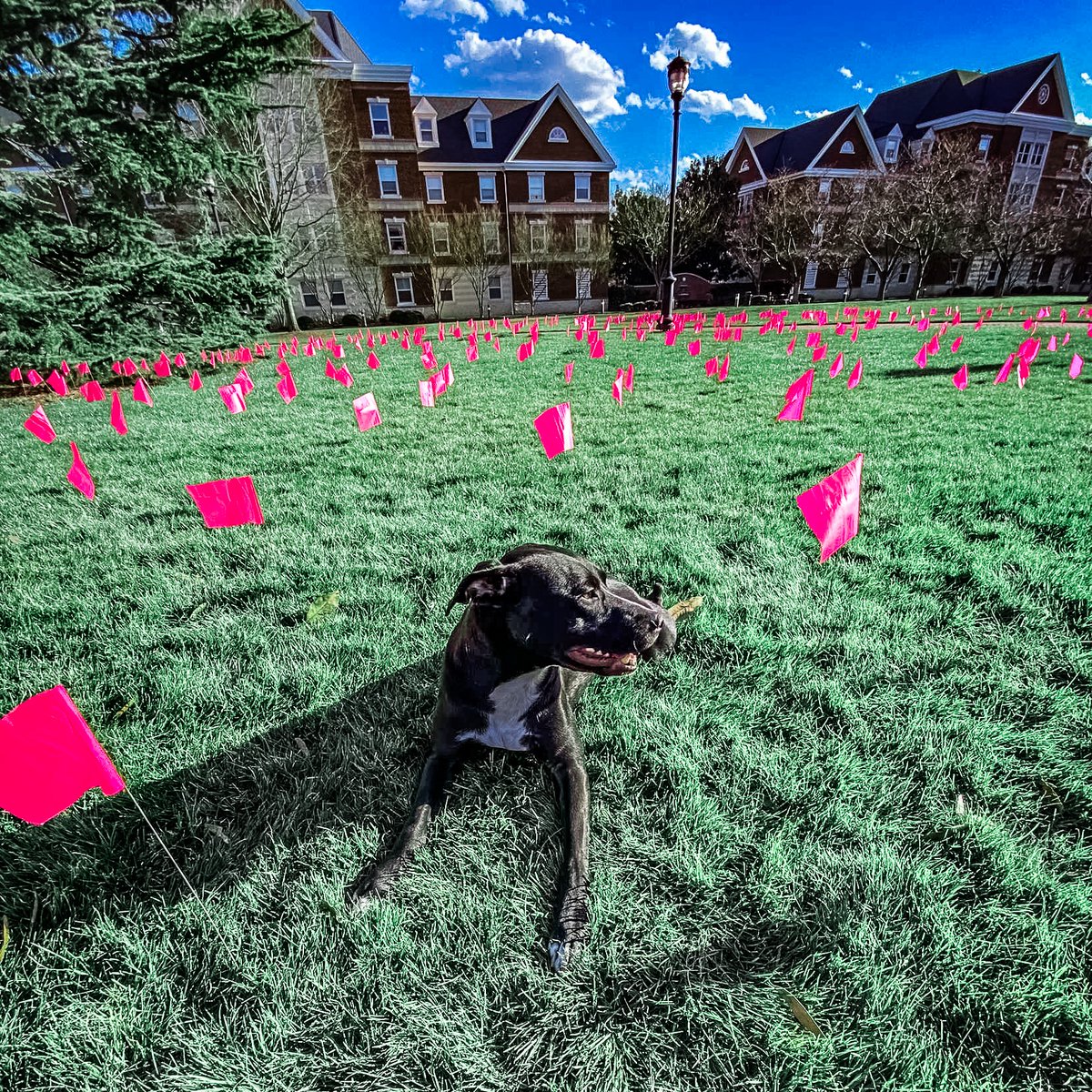 LeadershipInst's tweet photo. @studentsforlife at Christopher Newport University got some help from a pro-life pup at their recent LI activism event.
#LearntoWin #ConservativeMovement #ProLife #StudentsforLife #LIGrad https://t.co/MoXI9oE7bL