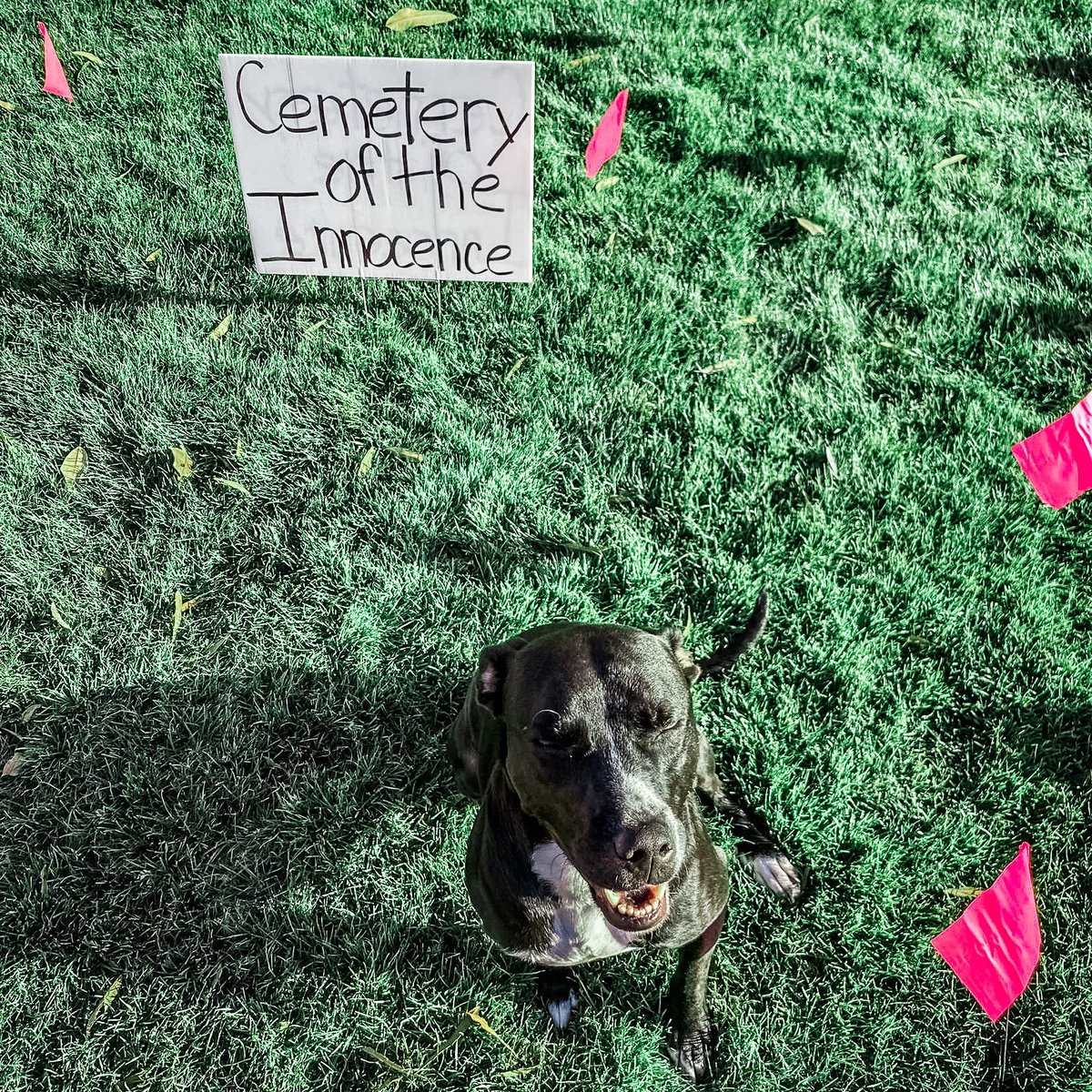 LeadershipInst's tweet photo. @studentsforlife at Christopher Newport University got some help from a pro-life pup at their recent LI activism event.
#LearntoWin #ConservativeMovement #ProLife #StudentsforLife #LIGrad https://t.co/MoXI9oE7bL