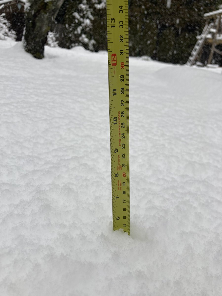 KJNorthShore's tweet photo. @JaneSeyd Lynn Valley this morning https://t.co/72cphRkA1j